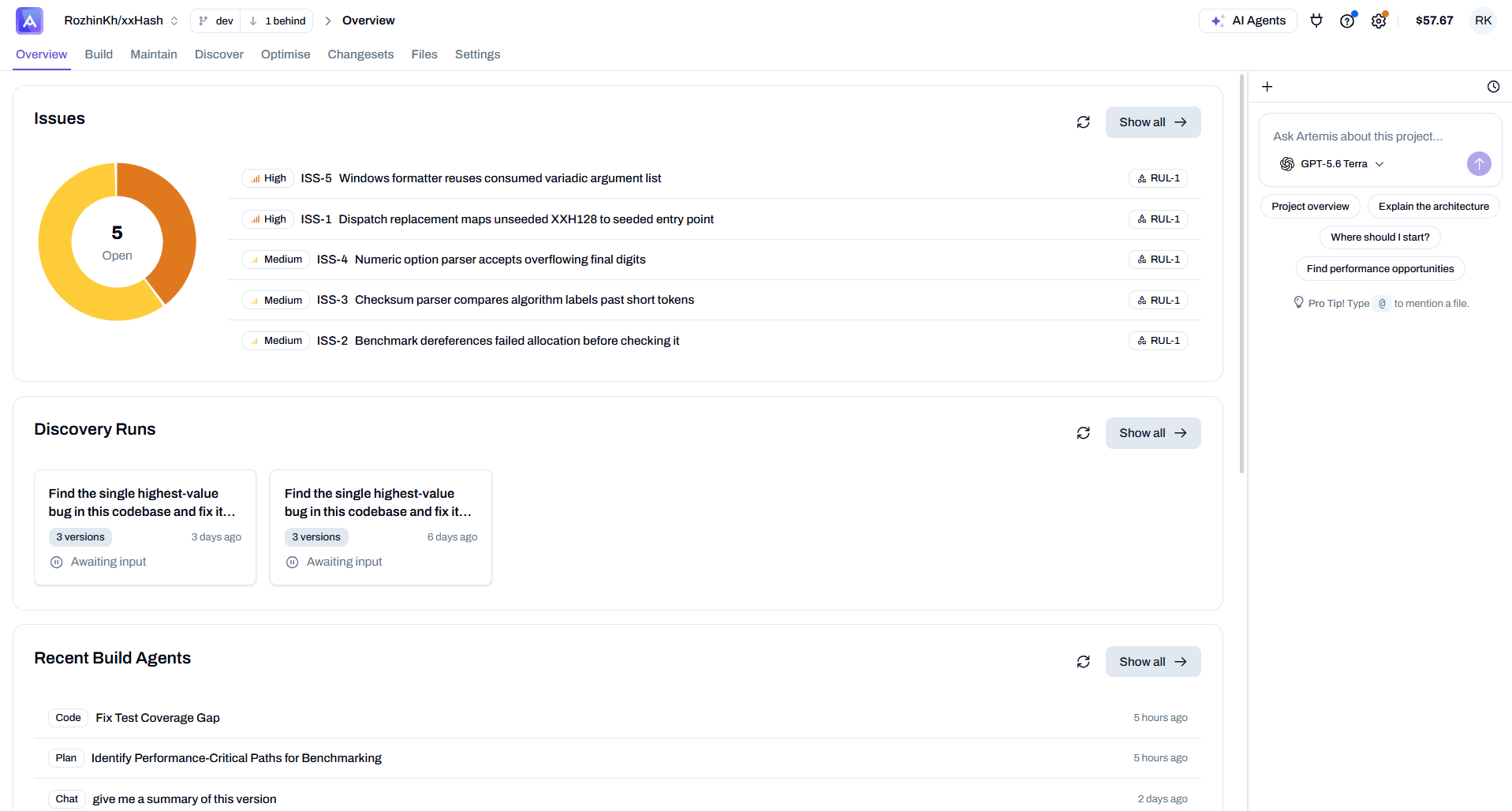 Overview — Issues, Discovery Runs and Build Agents
