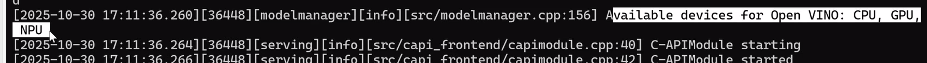 OpenVINO Installation Logs